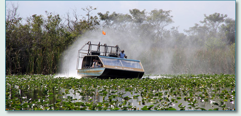 Airboat in the Everglades, Florida