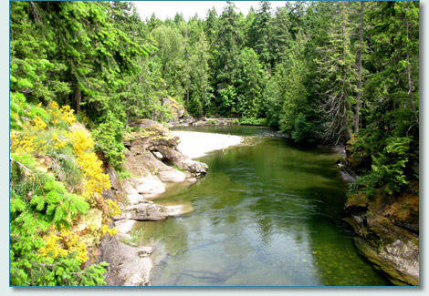 Englishman's River, Near Nanoose, Vancouver Island BC