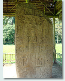 Mayan Stelae, Quirigua National Park Archaeological Ruins, Guatemala
